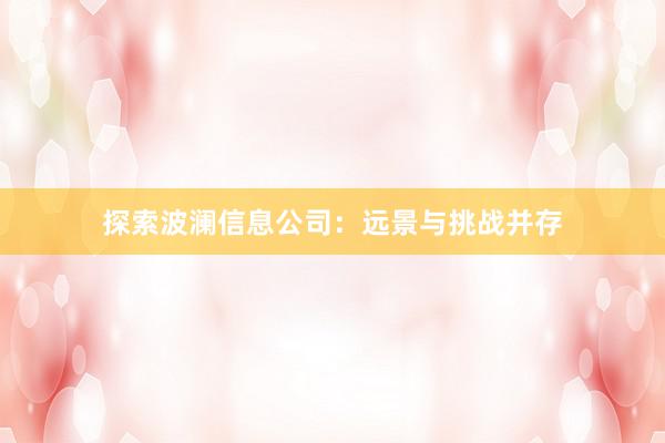 探索波澜信息公司：远景与挑战并存